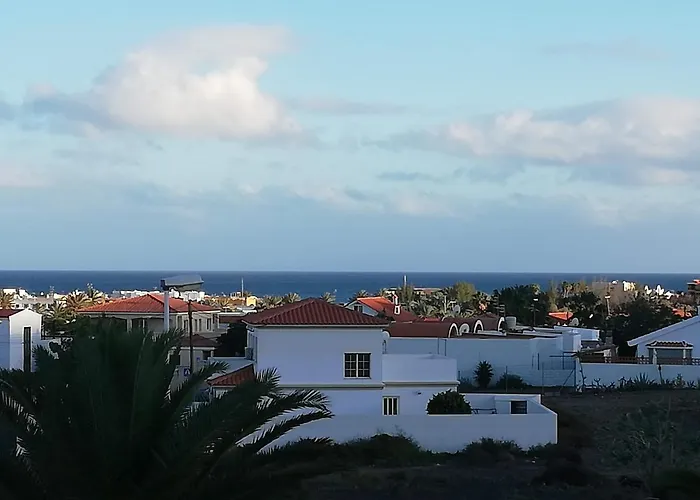 Janeli タラハレホ